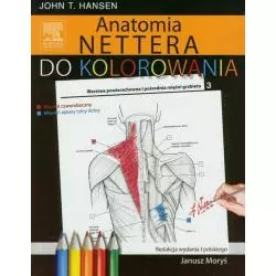 ANATOMIA NETTERA DO KOLOROWANIA John Hansen - Elsevier Urban&Partner