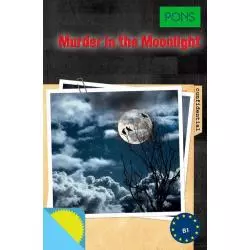 MURDER IN THE MOONLIGHT B1 - Pons