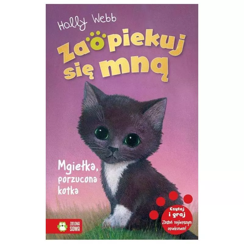 ZAOPIEKUJ SIĘ MNĄ MGIEŁKA PORZUCONA KOTKA Holly Webb - Zielona Sowa