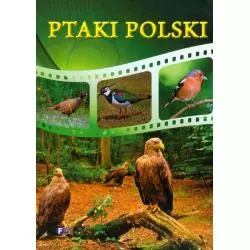 PTAKI POLSKI - Fenix