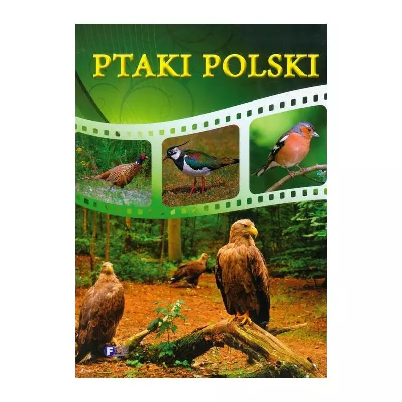 PTAKI POLSKI - Fenix