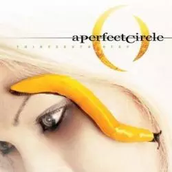 A PERFECT CIRCLE THIRTEENTH STEP CD - Universal Music Polska