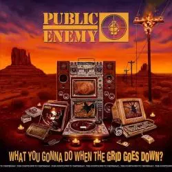PUBLIC ENEMY WHAT YOU GONNA DO WHEN THE GRID GOES DOWN CD - Universal Music Polska