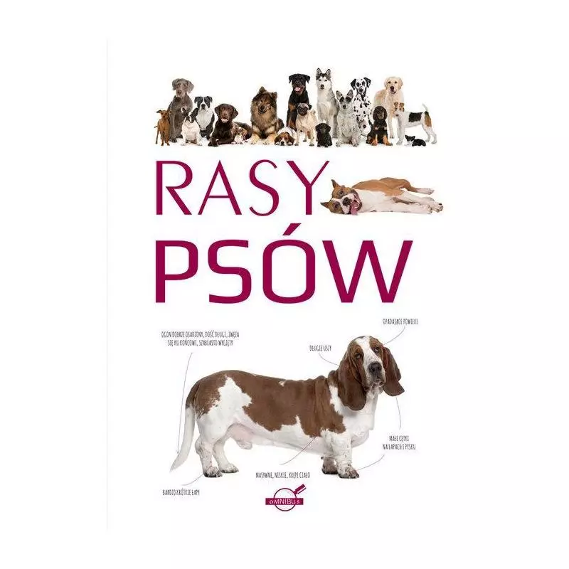 RASY PSÓW - Books