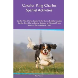 CAVALIER KING CHARLES SPANIEL ACTIVITIES Paul Young - Blue Ocean
