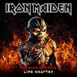 IRON MAIDEN THE BOOK OF SOULS LIVE CHAPTER WINYL - Warner Music