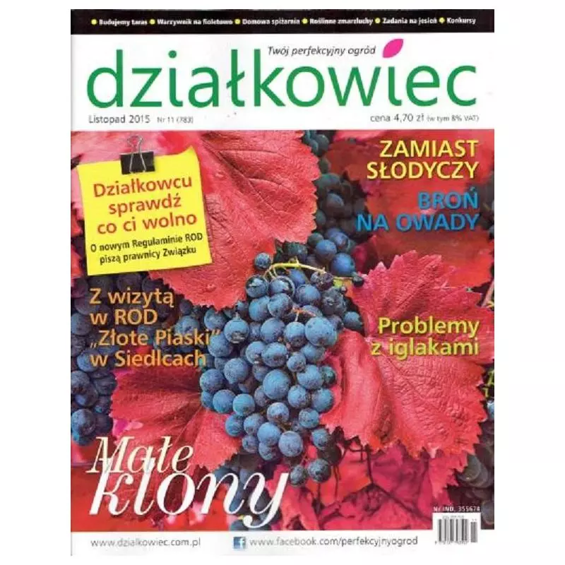 DZIAŁKOWIEC LISTOPAD 2015 (11) - Działkowiec