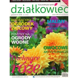 DZIAŁKOWIEC PAŹDZIERNIK 2018 - Działkowiec