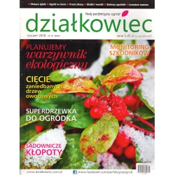 DZIAŁKOWIEC STYCZEŃ 2018 - Działkowiec