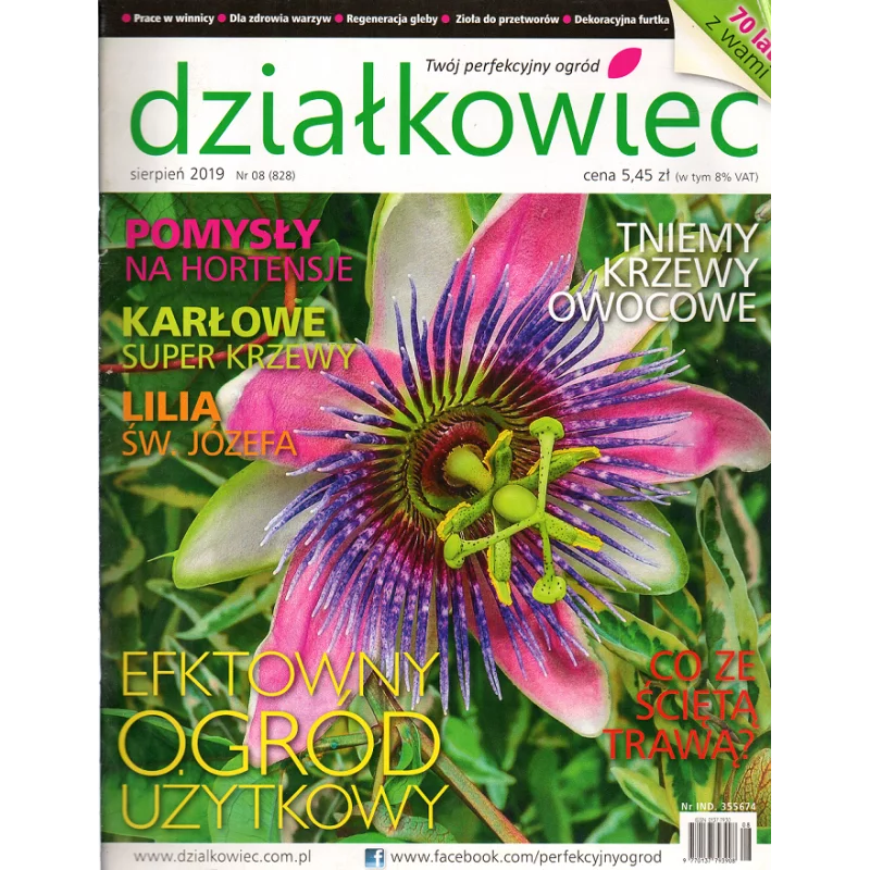 DZIAŁKOWIEC SIERPIEŃ 2019 - Działkowiec