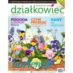 DZIAŁKOWIEC MARZEC 2019 - Działkowiec