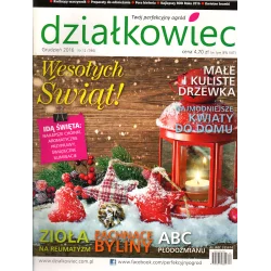 DZIAŁKOWIEC GRUDZIEŃ 2016 - Działkowiec