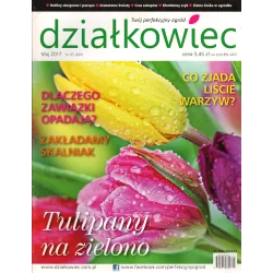 DZIAŁKOWIEC MAJ 2017 - Działkowiec