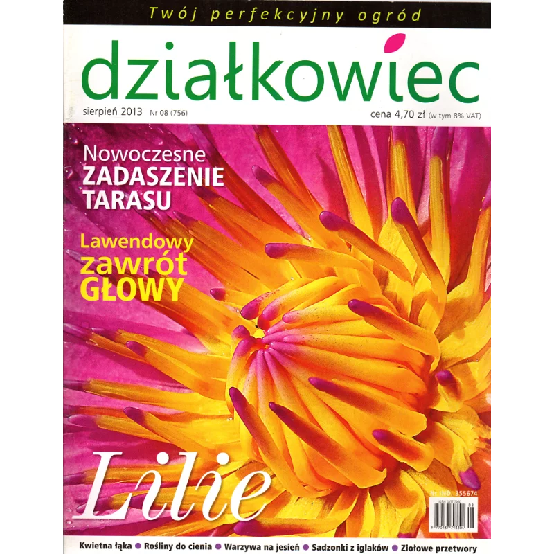 DZIAŁKOWIEC SIERPIEŃ 2013 - Działkowiec