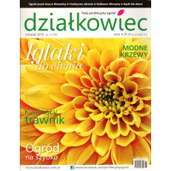 DZIAŁKOWIEC LISTOPAD 2013 - Działkowiec