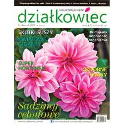 DZIAŁKOWIEC PAŹDZIERNIK 2015 - Działkowiec