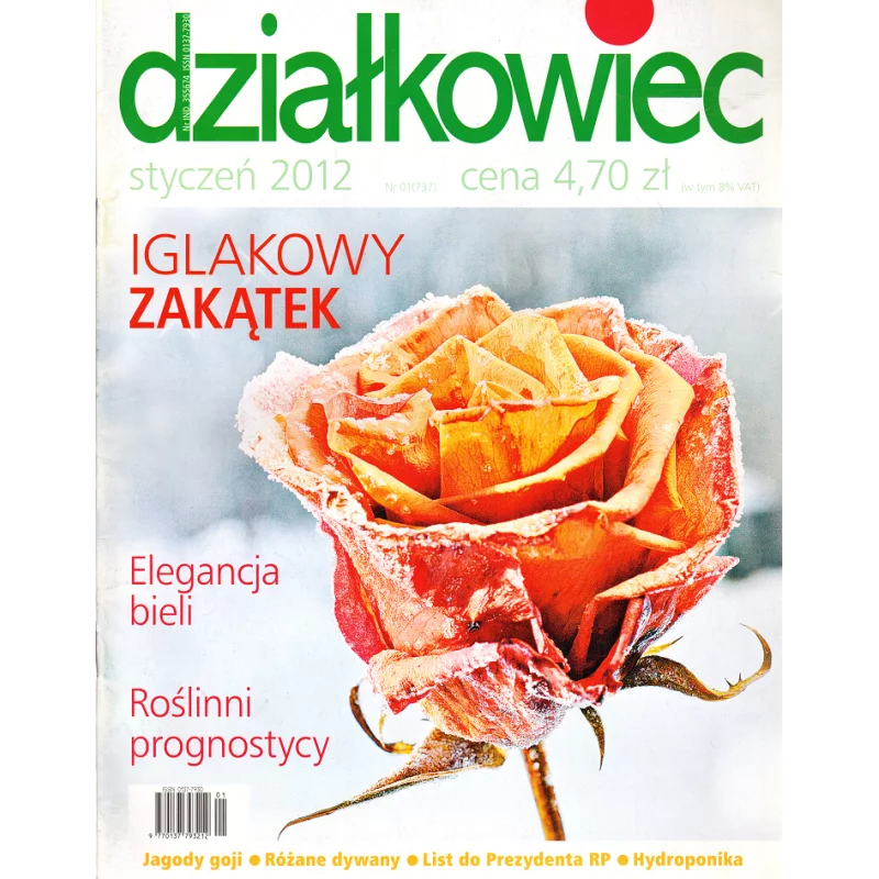 DZIAŁKOWIEC STYCZEŃ 2012 - Działkowiec