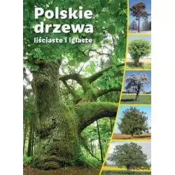 POLSKIE DRZEWA LIŚCIASTE I IGLASTE - SBM