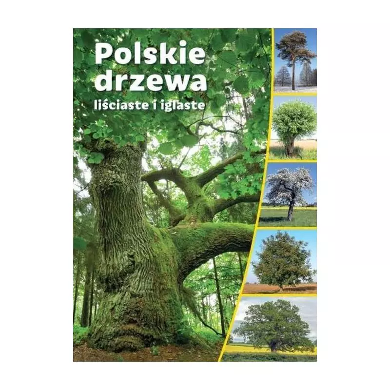 POLSKIE DRZEWA LIŚCIASTE I IGLASTE - SBM