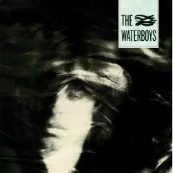 THE WATERBOYS WINYL - Warner Music