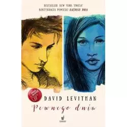 PEWNEGO DNIA David Levithan - Dolnośląskie