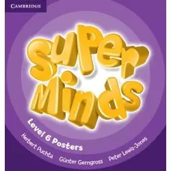 SUPER MINDS LEVEL 6 POSTERS 6+ - Cambridge University Press