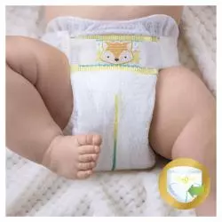 PIELUCHY PAMPERS ACTIVE BABY ROZMIAR 7 15+ KG 116 SZT. - Procter & Gamble