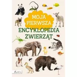 MOJA PIERWSZA ENCYKLOPEDIA ZWIERZĄT Marta Kotecka - Papilon