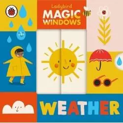 MAGIC WINDOWS WEATHER - Ladybird