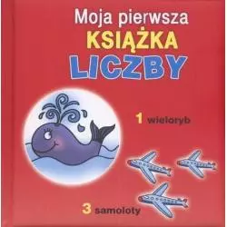 LICZBY MOJA PIERWSZA KSIĄŻKA - Cykada