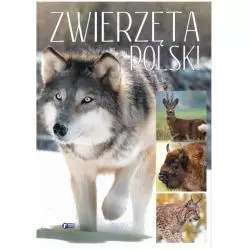 ZWIERZĘTA POLSKI - Fenix