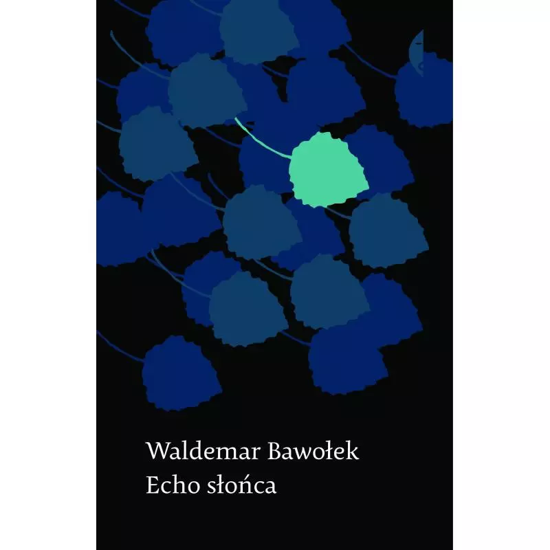 ECHO SŁOŃCA Waldemar Bawołek - Czarne