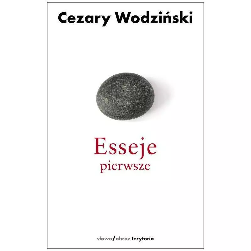 ESSEJE PIERWSZE Cezary Wodziński - Słowo/Obraz/Terytoria