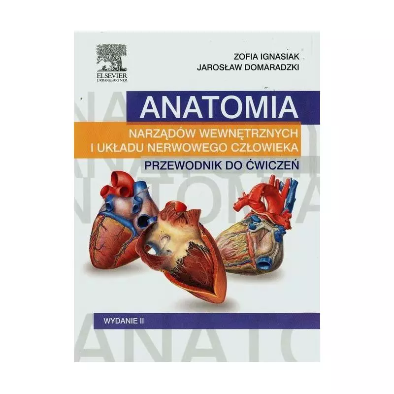ANATOMIA NARZĄDÓW WEWNĘTRZNYCH I UKŁADU NERWOWEGO CZŁOWIEKA PRZEWODNIK DO ĆWICZEŃ Zofia Ignasiak, Jarosław Domaradzki... ANATOMIA NARZĄDÓW WEWNĘTRZNYCH I UKŁADU NERWOWEGO CZŁOWIEKA PRZEWODNIK DO ĆWICZEŃ Zofia Ignasiak, Jarosław Domaradzki...