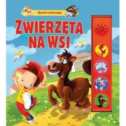 GUCIO POZNAJE ZWIERZĘTA NA WSI II GATUNEK - Wilga