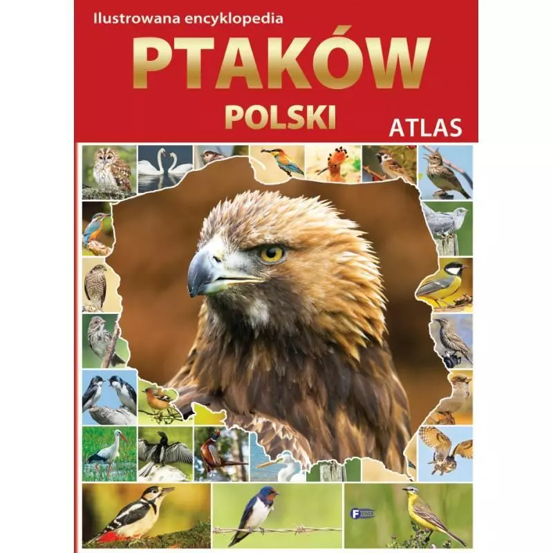 ILUSTROWANA ENCYKLOPEDIA PTAKÓW POLSKI ATLAS - Fenix