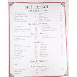 ZŁOTA KSIĘGA BAJEK GRIMM ANDERSEN EZOP PERRAULT - Wilga