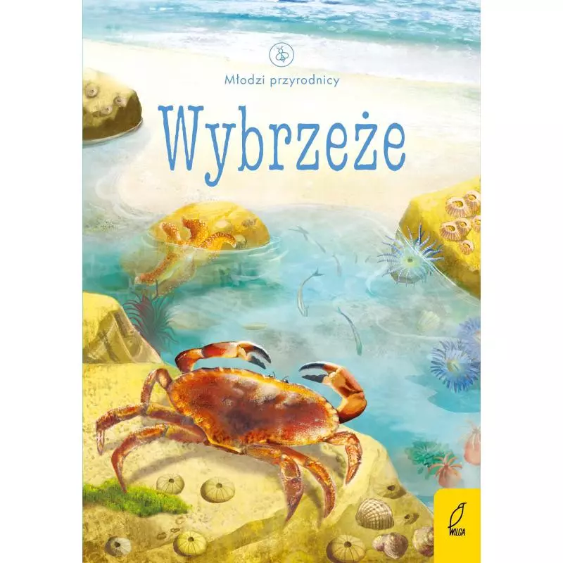 WYBRZEŻE MŁODZI PRZYRODNICY - Wilga