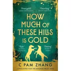 HOW MUCH OF THESE HILLS IS GOLD C Pam Zhang - Virago