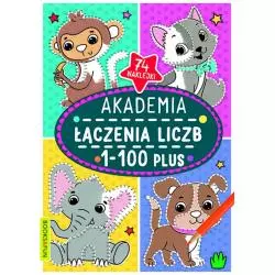 AKADEMIA ŁĄCZENIA LICZB 1-100 PLUS - Books & Fun