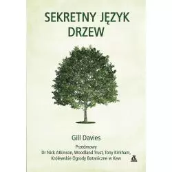 SEKRETNY JĘZYK DRZEW Davies Gill - Amber