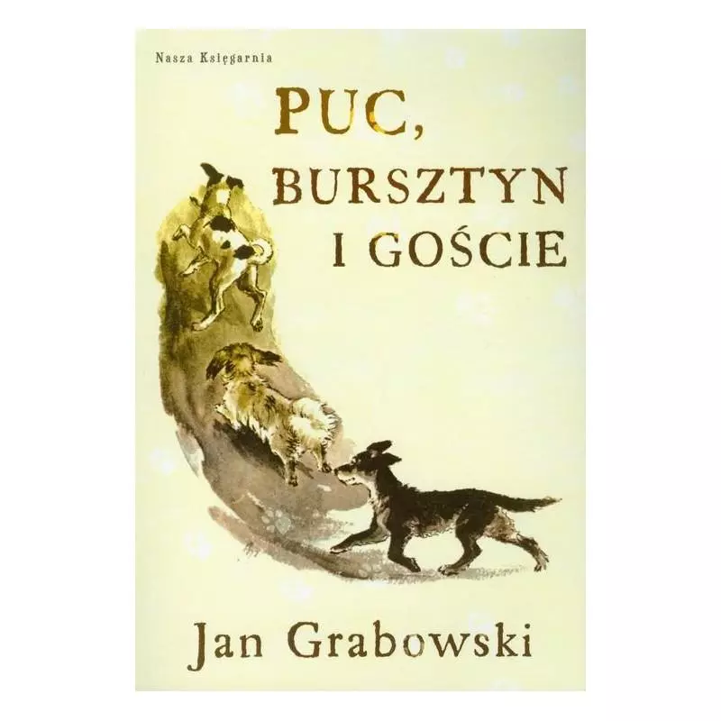 PUC BURSZTYN I GOŚCIE Jan Grabowski - Nasza Księgarnia