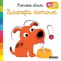 ZWIERZĘTA DOMOWE PIERWSZE SŁOWA AKADEMIA MĄDREGO DZIECKA Nathalie Choux - Harperkids