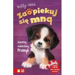SAMOTNY NIEKOCHANY PROMYK ZAOPIEKUJ SIĘ MNĄ Holly Webb - Zielona Sowa