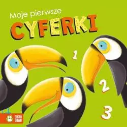 MOJE PIERWSZE CYFERKI - Zielona Sowa