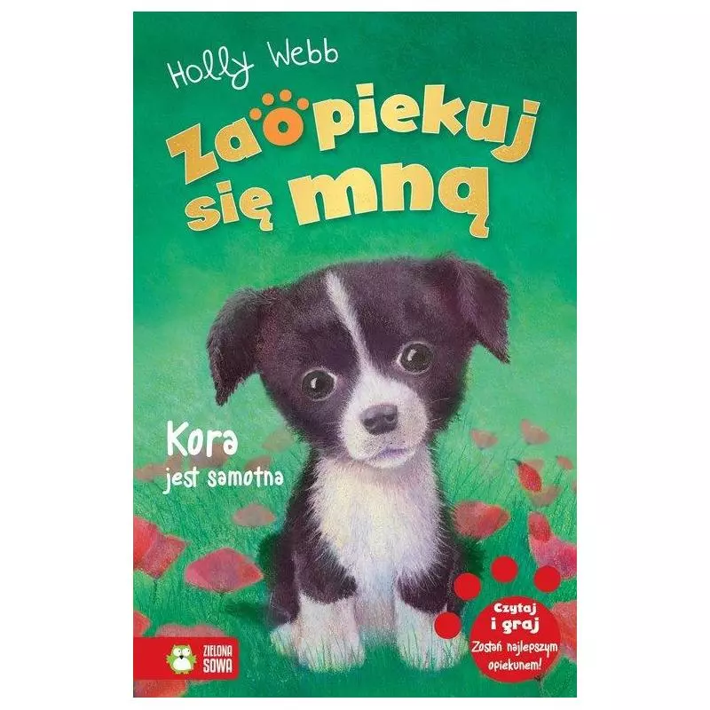 KORA JEST SAMOTNA. ZAOPIEKUJ SIĘ MNĄ - Zielona Sowa