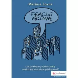 PRACUJ GŁOWĄ CZYLI PRAKTYCZNY SYSTEM PRACY ZWIĘKSZAJĄCY CODZIENNĄ EFEKTYWNOŚĆ Mariusz Sosna - Rozpisani.pl