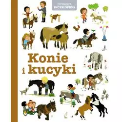 KONIE I KUCYKI PIERWSZA ENCYKLOPEDIA Marie Brossoni - Wilga