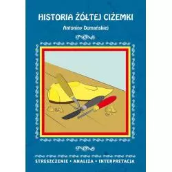 HISTORIA ŻÓŁTEJ CIŻEMKI ANTONINY DOMAŃSKIEJ STRESZCZENIE ANALIZA INTERPRETACJA - Literat