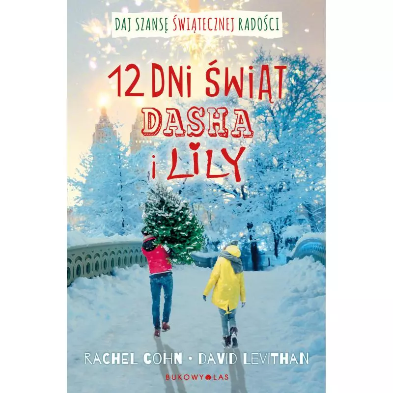 DWANAŚCIE DNI ŚWIĄT DASHA I LILY Rachel Cohn, David Levithan - Bukowy las